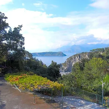 Otel Il Brillantino San Nicola Arcella